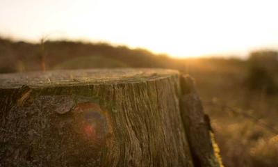 moderne zonnepanelen